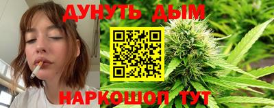 стаф Обь
