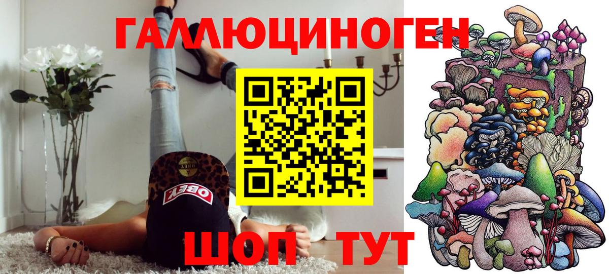 Псилоцибиновые грибы Psilocybe  дарнет шоп  Псилоцибиновые грибы ЛСД  Сокол  Вход с VPN 